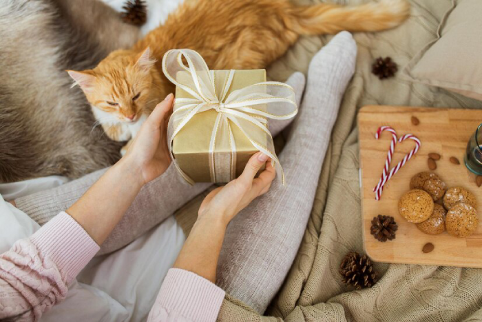What to Consider before Choosing A Gift for Cat Owners